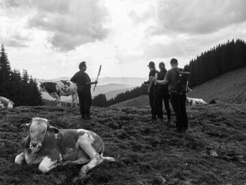 Adoptă kilometri pe Via Transilvanica din Bucovina!