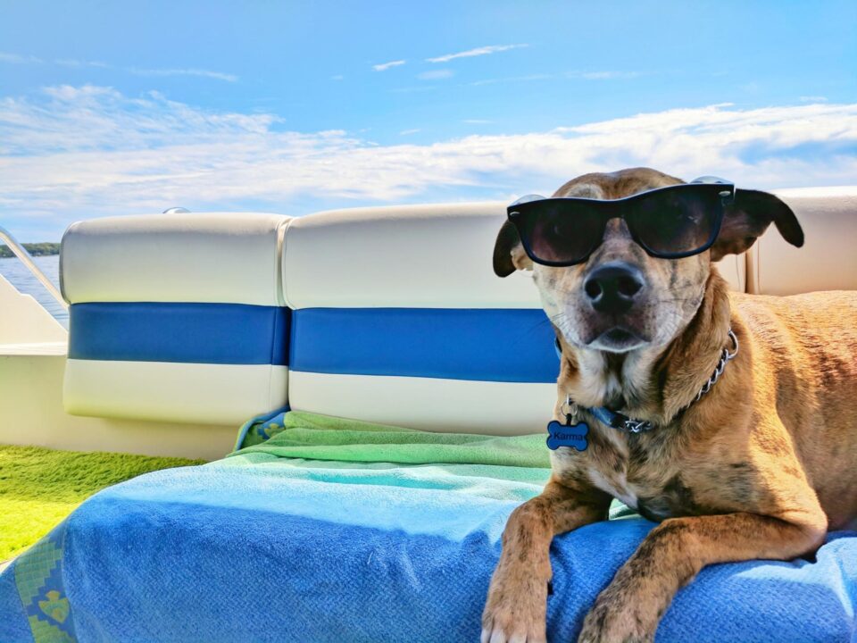 11 trucuri gratuite pentru a vă face să arătați instantaneu mai cool