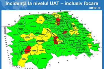 Incidența la nivelul județului, inclusiv focare