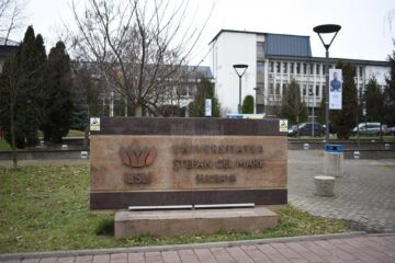 Cursuri intensive de limbă germană pentru studenții economiști, la USV