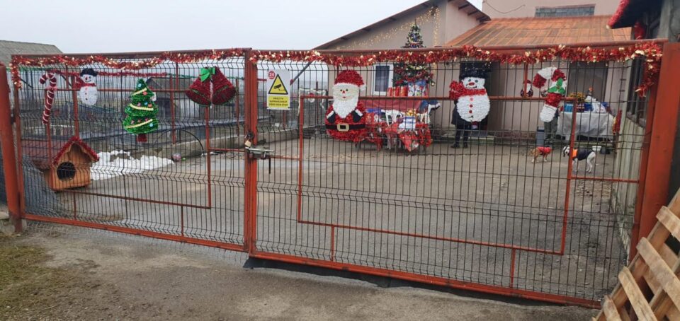 Câinele polițist Oscar a fost Moș Crăciun pentru ”confrații” de la Asociația ”Casa lui Patrocle”