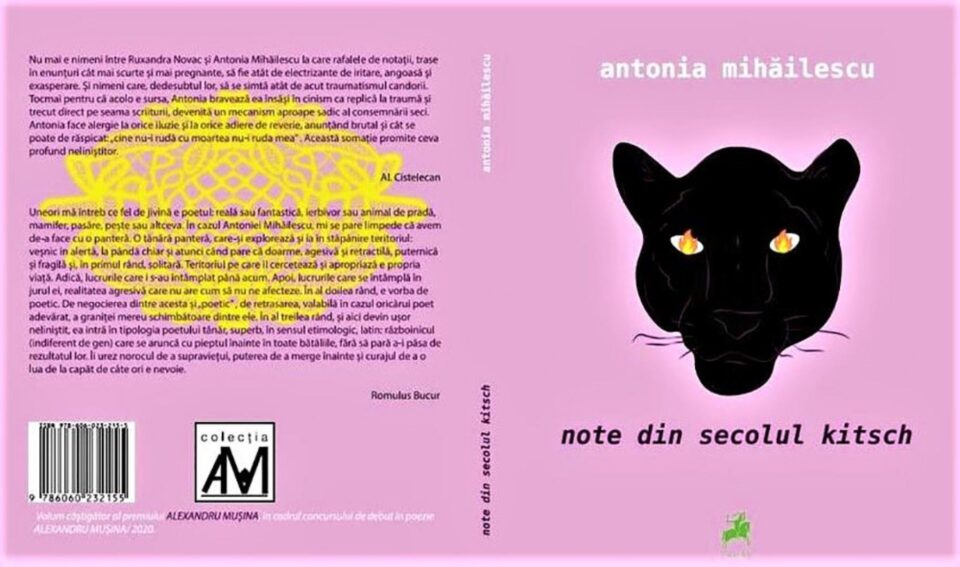 Casa de Poezie Light of ink anunță apariția a două excelente volume de debut