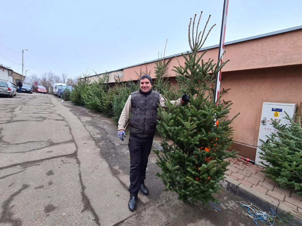 Brazii de Crăciun din piețele sucevene nu prea au căutare
