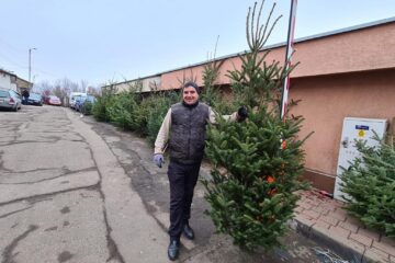 Brazii de Crăciun din piețele sucevene nu prea au căutare Brazii de Crăciun din piețele sucevene nu prea au căutare