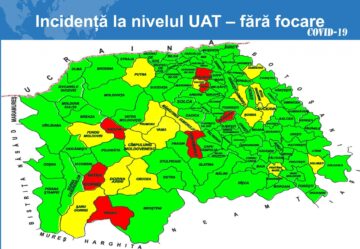 Incidența la nivelul județului, fără focare
