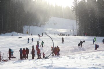 Partia de la Câmpulung