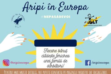Grupul Local de Tineret „Aripi în Europa” ajută familiile nevoiașe