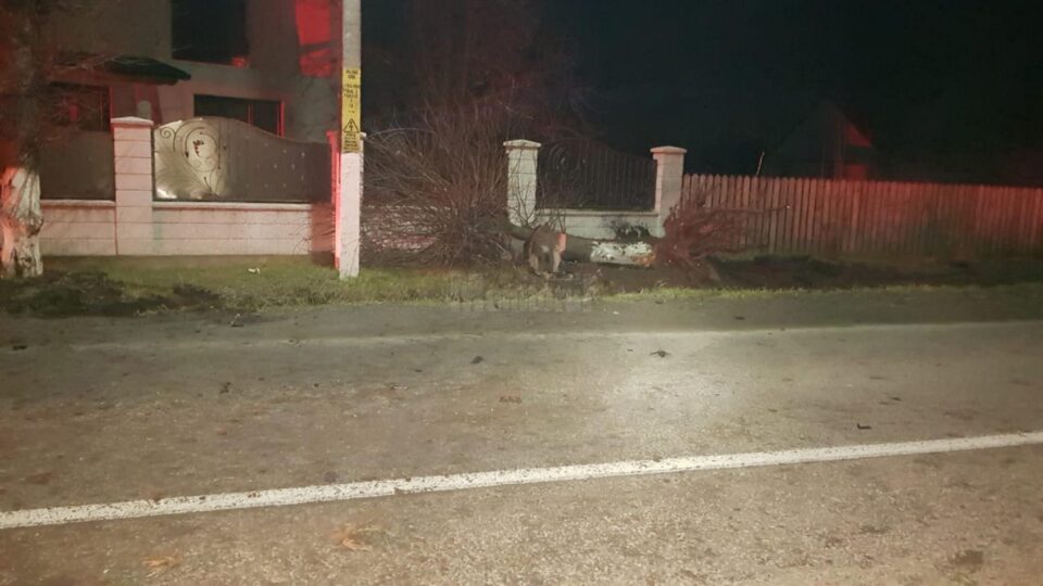 Un copac a fost culcat la pamant de autoturismul scapat de sub control