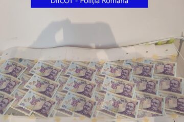 Bancnotele false erau de 100 de lei