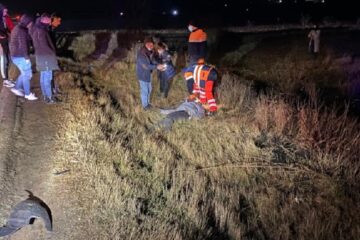 Accidentul mortal de la Arbore