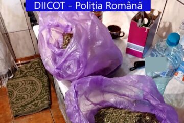 Doar substanțele cu efect psihoactiv găsite la percheziții valorează 60.000 de lei