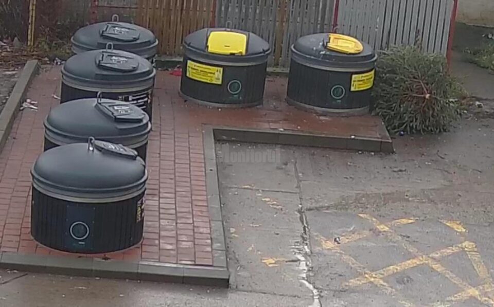 A început ridicarea gratuită a brazilor de Crăciun, de lângă punctele de colectare selectivă A început ridicarea gratuită a brazilor de Crăciun, de lângă punctele de colectare selectivă