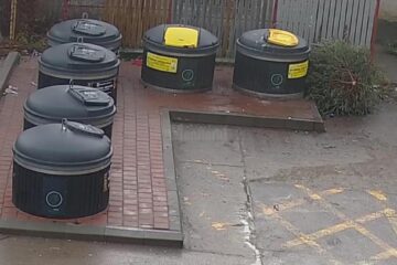 A început ridicarea gratuită a brazilor de Crăciun, de lângă punctele de colectare selectivă