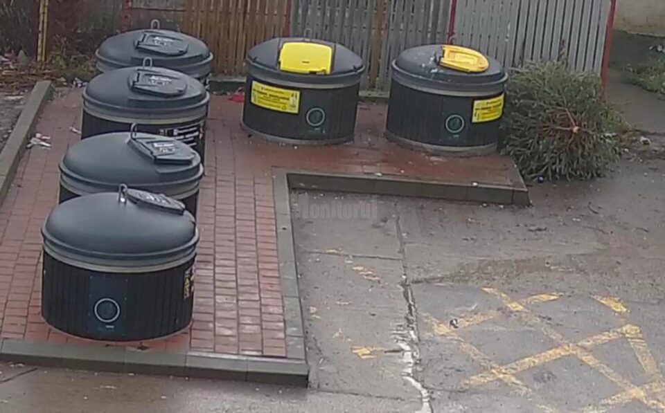 A început ridicarea gratuită a brazilor de Crăciun, de lângă punctele de colectare selectivă