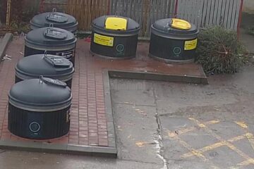 A început ridicarea gratuită a brazilor de Crăciun, de lângă punctele de colectare selectivă