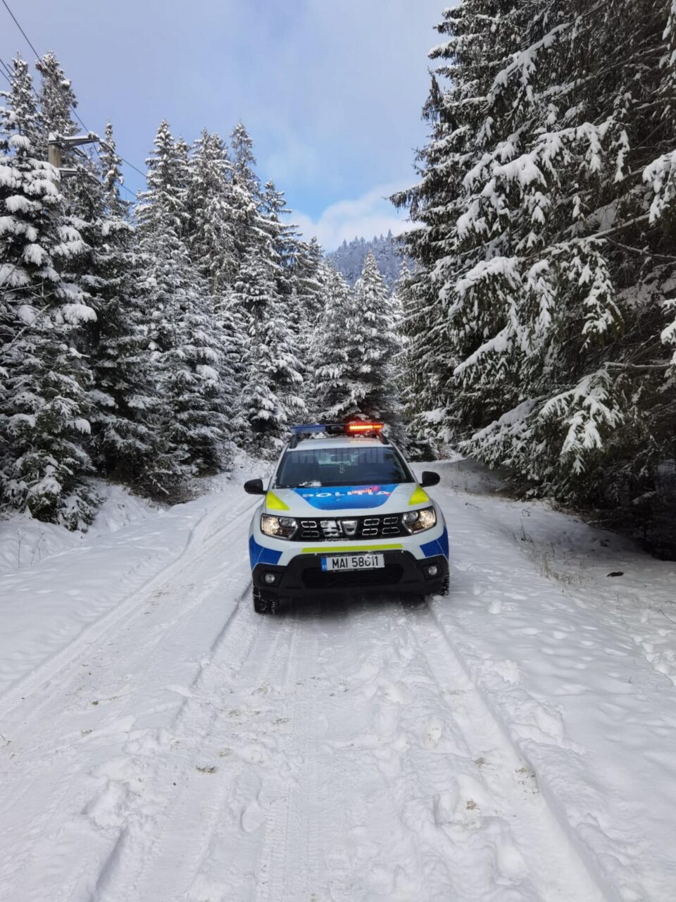 masini politie iarna2