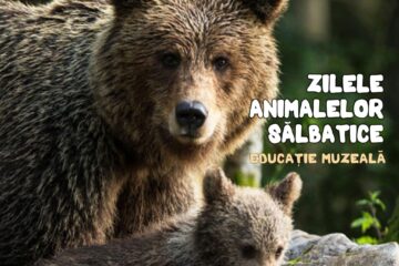 Proiectul educațional „Ziua Ursului”, la Muzeul de Științele Naturii