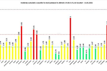 Incidența cazurilor