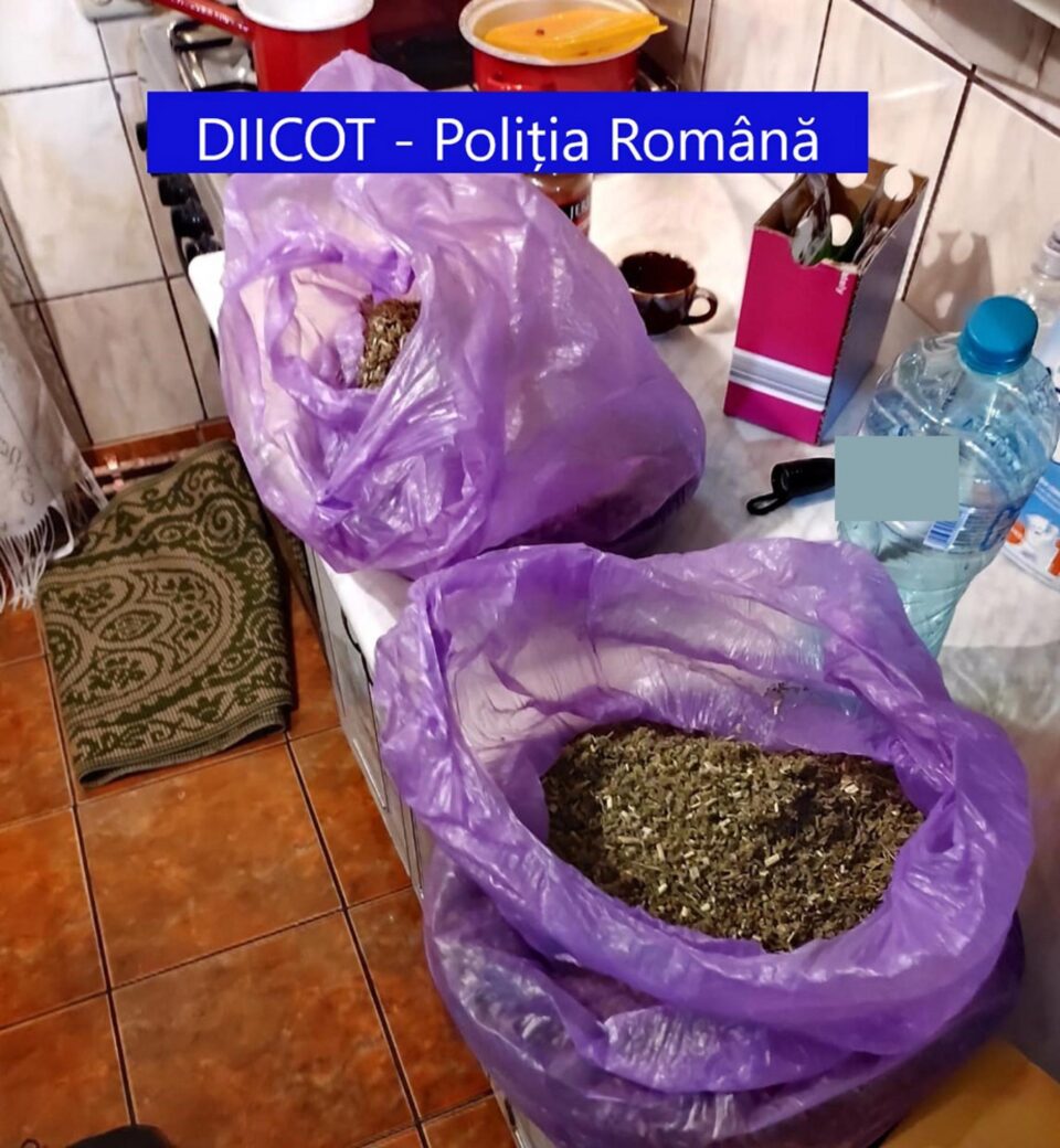 Etnobotanice ridicate la percheziții