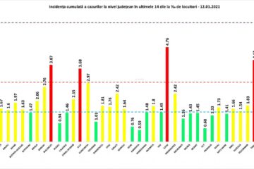 Incidența cazurilor