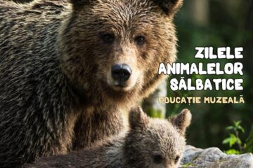 Proiectul educațional „Ziua Ursului”, la Muzeul de Științele Naturii