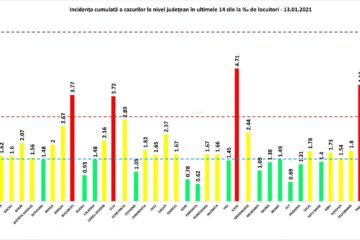 Incidența cazurilor