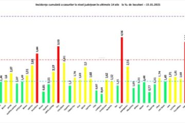 Incidența cazurilor