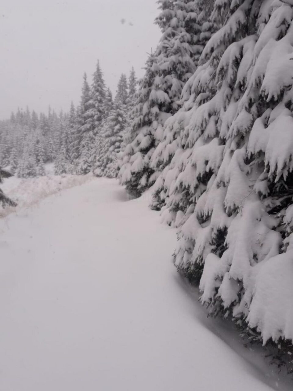 Ninsorile din ultimele zile au crescut stratul de zăpadă din zona de munte