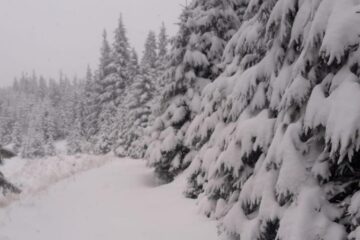 Ninsorile din ultimele zile au crescut stratul de zăpadă din zona de munte