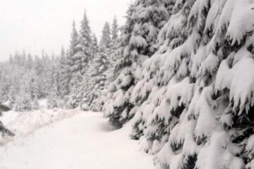 Ninsorile din ultimele zile au crescut stratul de zăpadă din zona de munte