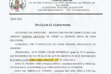Cursuri gratuite pentru cei care vor să învețe cum trebuie realizate în mod corect tăierile la pomi