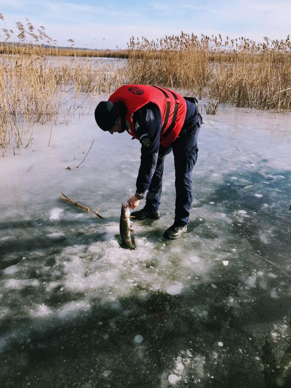 Peste o sută de ”soldăței” pentru știucă, confiscați de jandarmi de la pescari