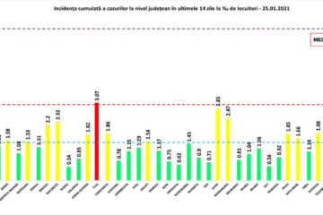 Incidența cumulată a cazurilor de Covid în ultimele 14 zile
