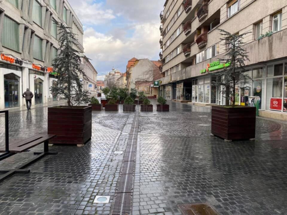 Schimb de experiență între executivele locale din Rădăuți și Oradea