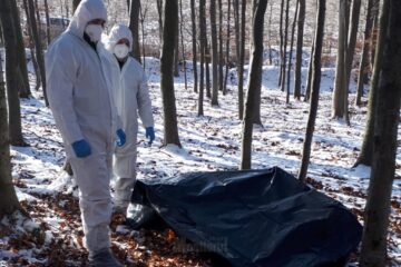 Mistreți împușcați