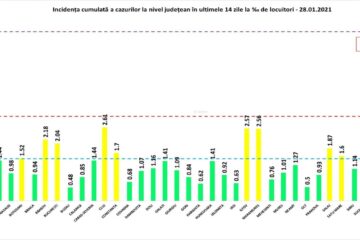 Incidența cazurilor