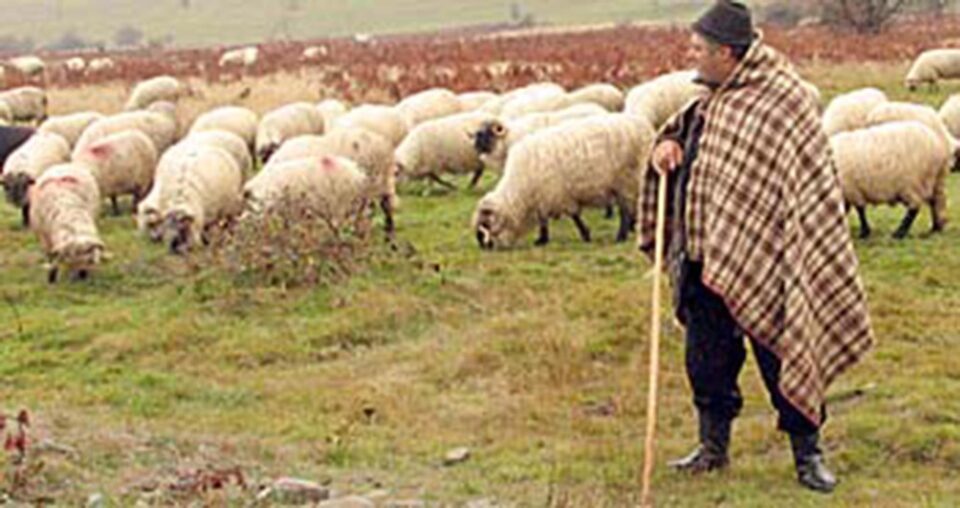 „Împlinirile obștii”