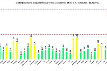 Incidența cumulată a cazurilor de Covid în ultimele 14 zile