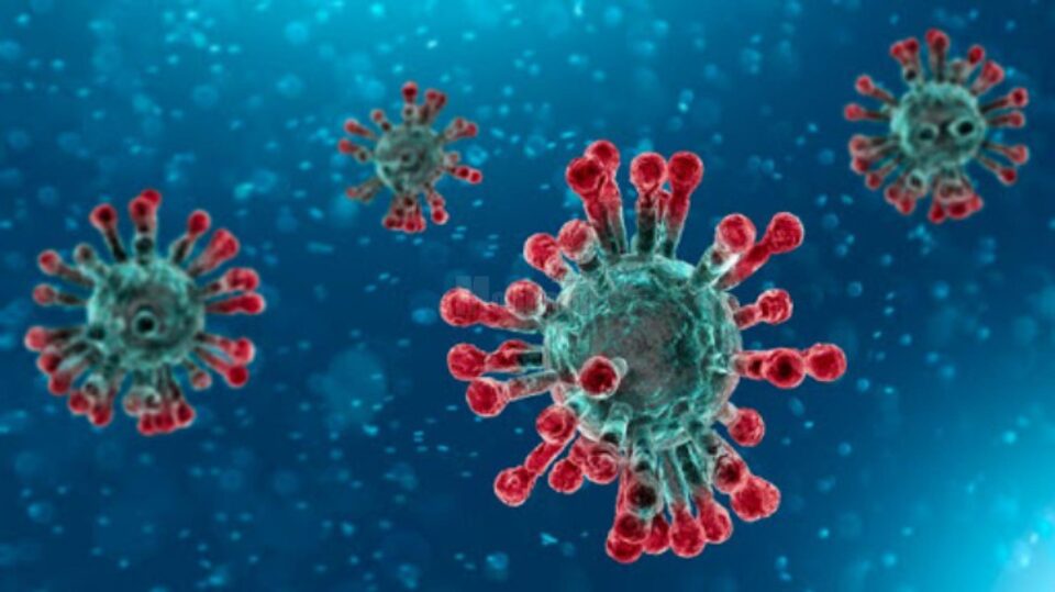 Coronavirus