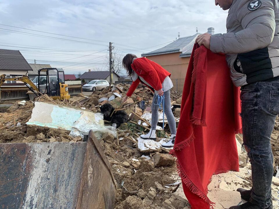 Reprezentanții Asociației Casa lui Patrocle au mers însoțiți de jandarmi pentru a-l lua pe câine dintre grămezile de moloz ale casei demolate