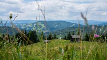 De la Mănăstirea Sucevița, prin pădure, 21 de kilometri, la Mănăstirea Moldovița
