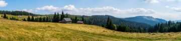 De pe Mestecăniș, prin pădure, pe jos, până la Vatra Dornei