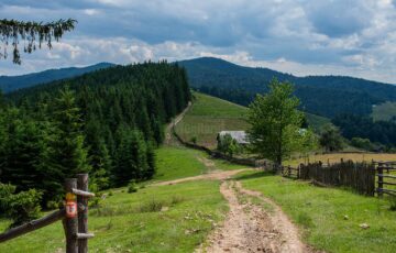 De la Mănăstirea Sucevița, prin pădure, 21 de kilometri, la Mănăstirea Moldovița