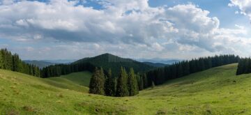 De la Mănăstirea Sucevița, prin pădure, 21 de kilometri, la Mănăstirea Moldovița