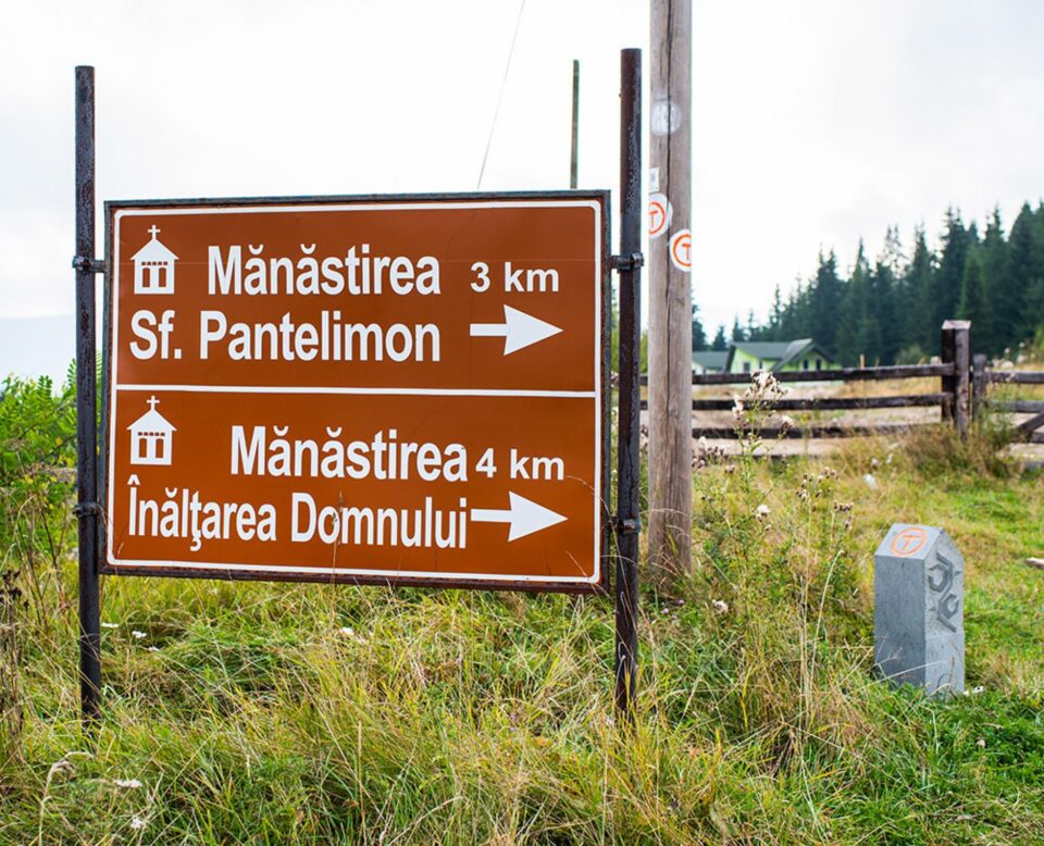 De pe Mestecăniș, prin pădure, pe jos, până la Vatra Dornei
