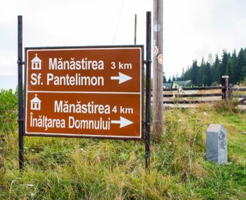 De pe Mestecăniș, prin pădure, pe jos, până la Vatra Dornei