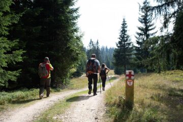 De pe Mestecăniș, prin pădure, pe jos, până la Vatra Dornei