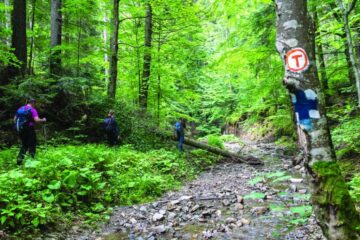 Ne așteptau 136 de kilometri de mers pe jos