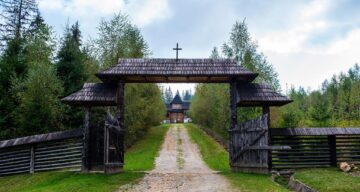 De pe Mestecăniș, prin pădure, pe jos, până la Vatra Dornei