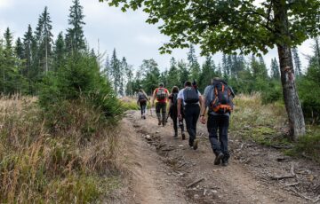 De pe Mestecăniș, prin pădure, pe jos, până la Vatra Dornei